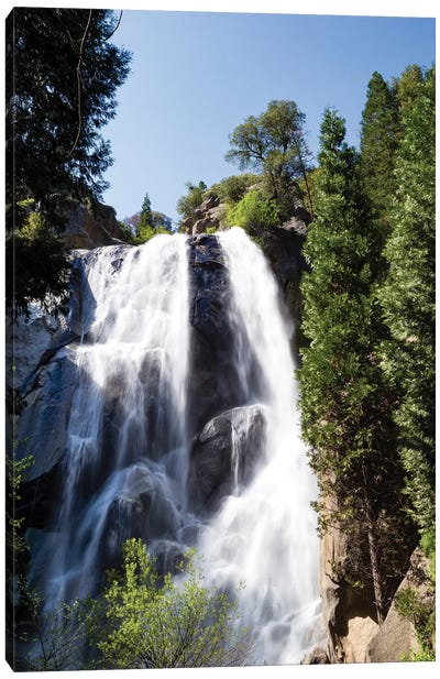Waterfall In A Forest, Sequoia National Park, California, USA Canvas Art Print