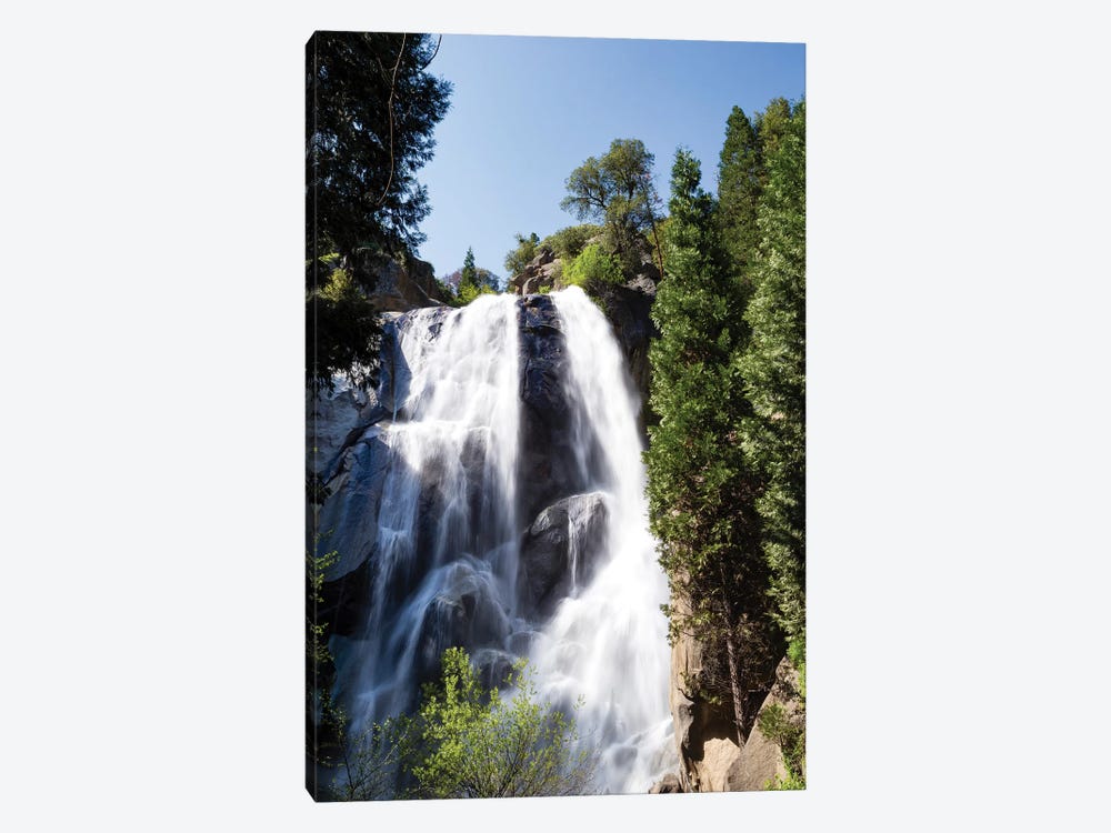 Waterfall In A Forest, Sequoia National Park, California, USA by Panoramic Images 1-piece Art Print