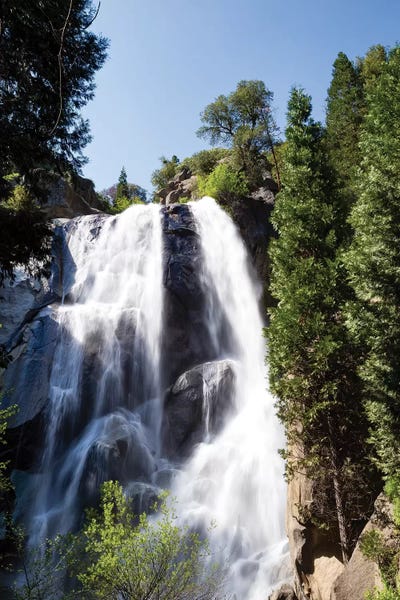 Sequoia Trees: Waterfall In A Forest, Sequoia National Park, California, USA by Panoramic Images