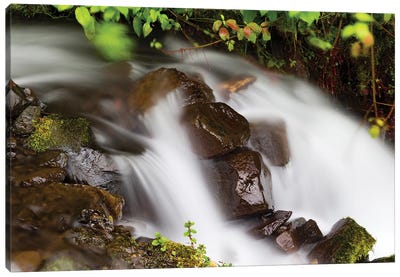 Waterfall In A Forest, Wahkeena Falls, Hood River, Oregon, USA I Canvas Art Print - Oregon Art