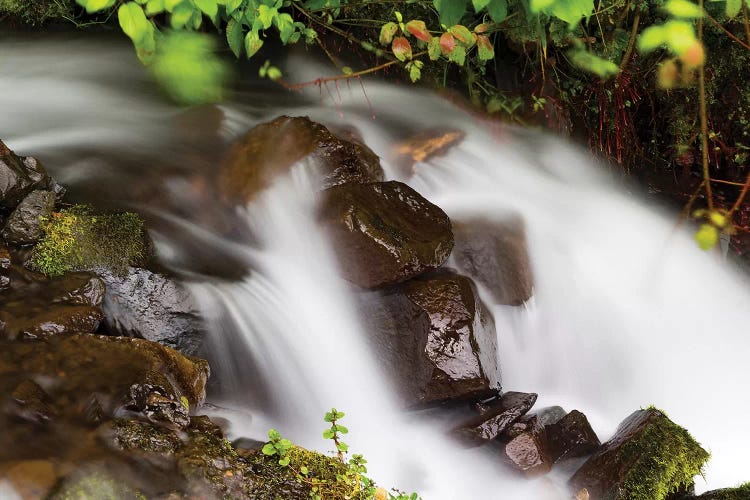 Waterfall In A Forest, Wahkeena Falls, Hood River, Oregon, USA I