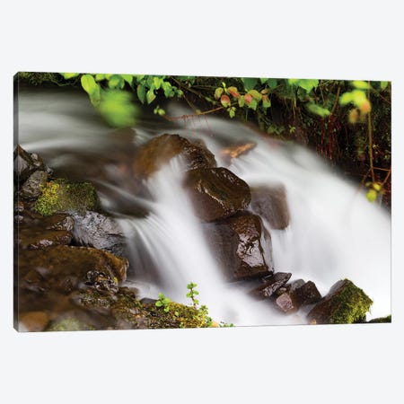 Waterfall In A Forest, Wahkeena Falls, Hood River, Oregon, USA I Canvas Print #PIM15024} by Panoramic Images Art Print