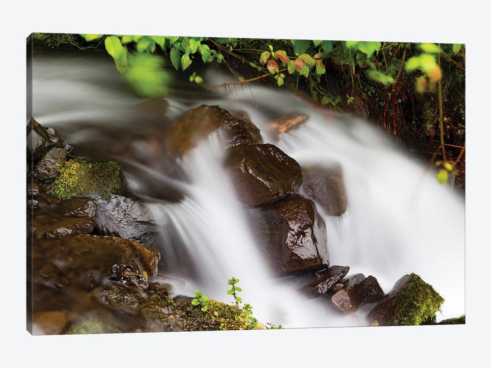 Waterfall In A Forest, Wahkeena Falls, Hood River, Oregon, USA I by Panoramic Images 1-piece Canvas Wall Art