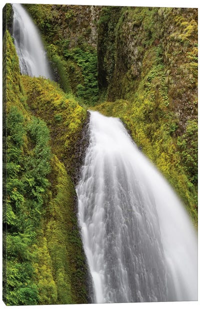Waterfall In A Forest, Wahkeena Falls, Hood River, Oregon, USA II Canvas Art Print - Oregon Art