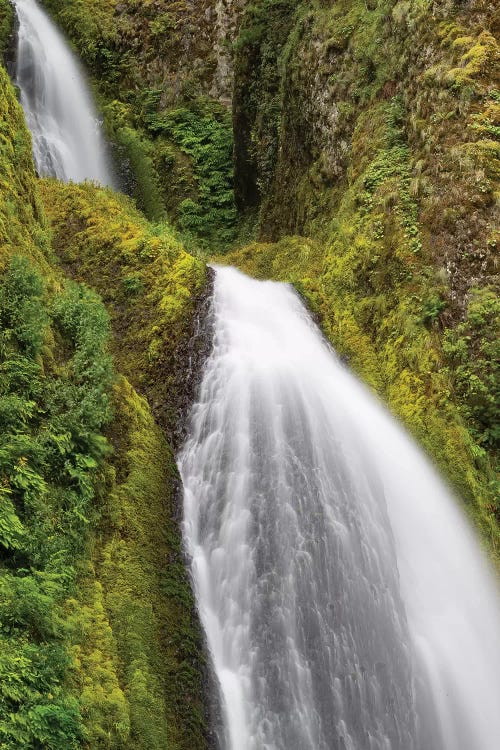 Waterfall In A Forest, Wahkeena Falls, Hood River, Oregon, USA II