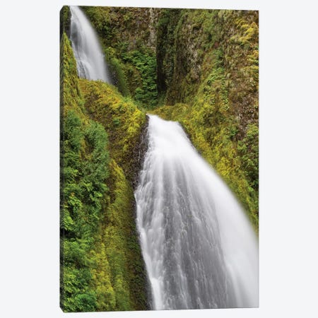 Waterfall In A Forest, Wahkeena Falls, Hood River, Oregon, USA II Canvas Print #PIM15025} by Panoramic Images Canvas Art Print