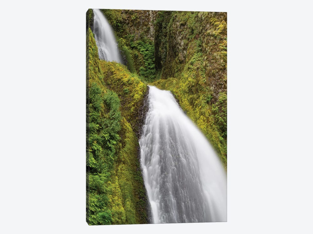 Waterfall In A Forest, Wahkeena Falls, Hood River, Oregon, USA II 1-piece Canvas Print