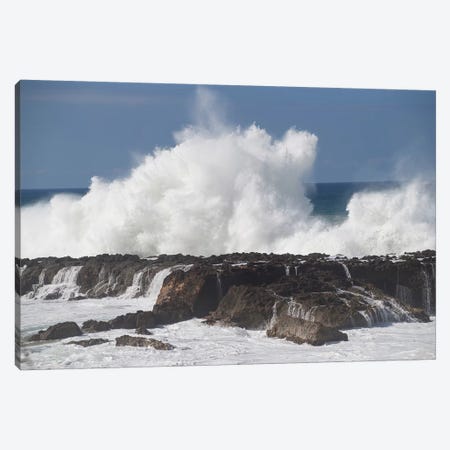 Waves Breaking On The Coast, Hawaii, USA Canvas Print #PIM15030} by Panoramic Images Canvas Art Print