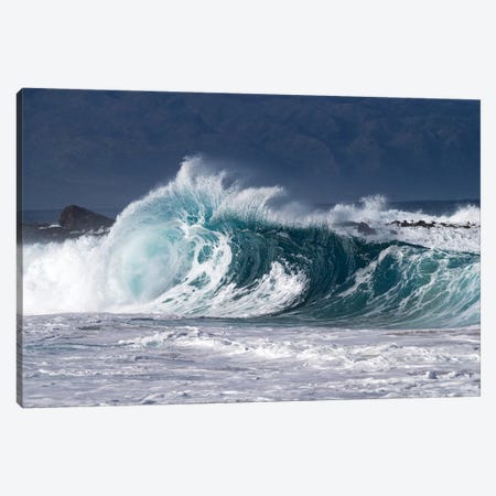 Waves In Pacific Ocean, Hawaii, USA Canvas Print #PIM15033} by Panoramic Images Canvas Print