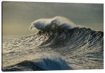 Waves In The Pacific Ocean At Dusk, San Pedro, Los Angeles, California, USA III Canvas Art Print - Wave Art