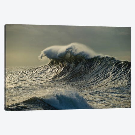 Waves In The Pacific Ocean At Dusk, San Pedro, Los Angeles, California, USA III Canvas Print #PIM15037} by Panoramic Images Canvas Artwork