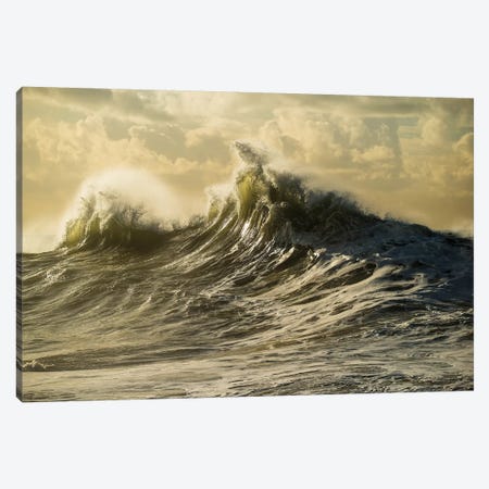 Waves In The Pacific Ocean At Dusk, San Pedro, Los Angeles, California, USA IV Canvas Print #PIM15038} by Panoramic Images Canvas Art Print