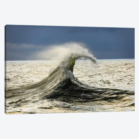 Waves In The Pacific Ocean, San Pedro, Los Angeles, California, USA VI Canvas Print #PIM15056} by Panoramic Images Canvas Wall Art