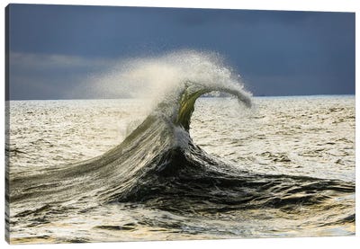 Waves In The Pacific Ocean, San Pedro, Los Angeles, California, USA VI Canvas Art Print - Wave Art