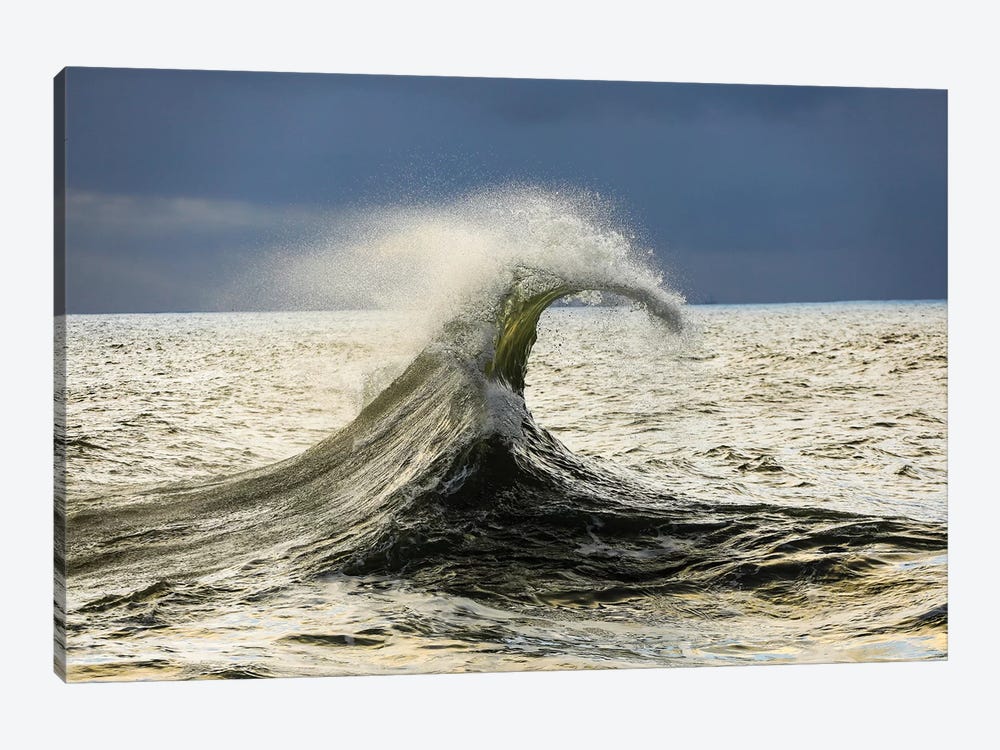 Waves In The Pacific Ocean, San Pedro, Los Angeles, California, USA VI by Panoramic Images 1-piece Canvas Art Print