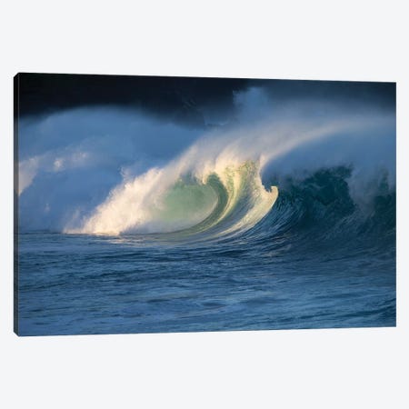 Waves Splashing On Beach, Hawaii, USA Canvas Print #PIM15059} by Panoramic Images Art Print