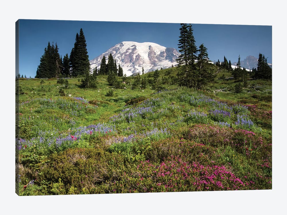 Wildflowers On A Hill, Mount Rainier National Park, Washington State, USA III by Panoramic Images 1-piece Canvas Art