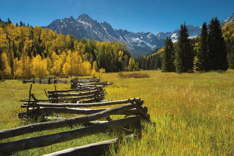 Wooden Fence In A Forest, Maroon Bells, Maroon Creek Valley, Aspen, Pitkin County, Colorado, USA