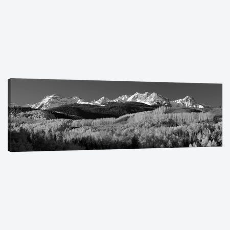Aspens, Autumn, Rocky Mountains, Colorado, USA Canvas Print #PIM15080} by Panoramic Images Canvas Art