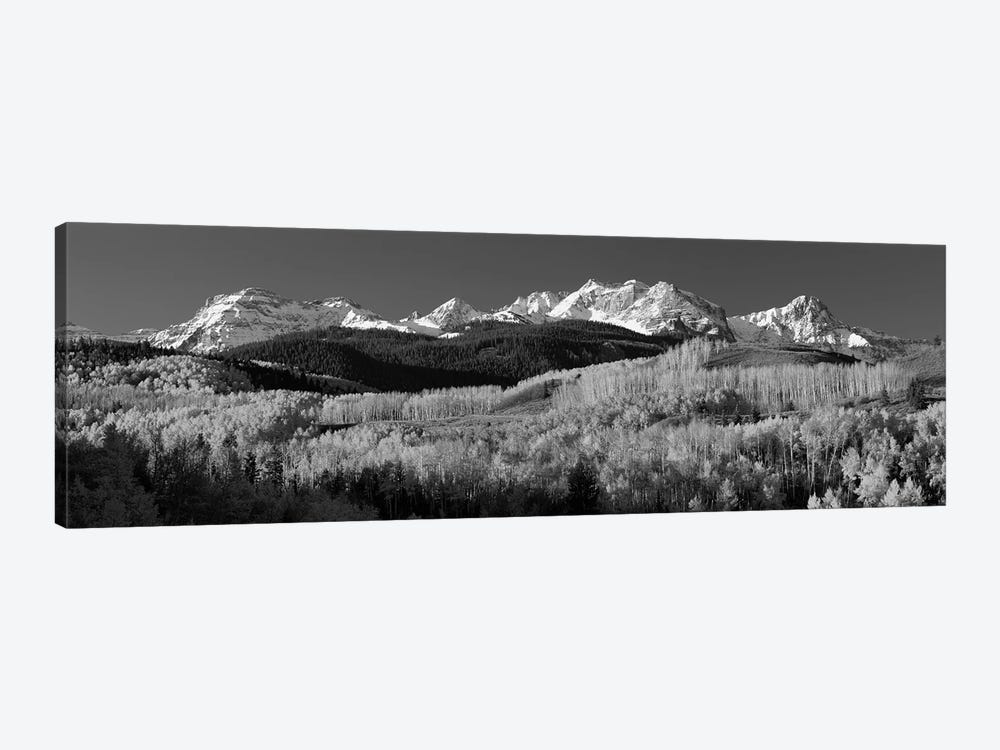 Aspens, Autumn, Rocky Mountains, Colorado, USA by Panoramic Images 1-piece Canvas Wall Art