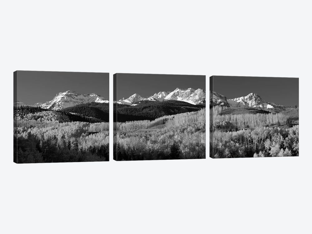 Aspens, Autumn, Rocky Mountains, Colorado, USA by Panoramic Images 3-piece Canvas Wall Art