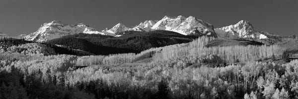 Colorado: Aspens, Autumn, Rocky Mountains, Colorado, USA by Panoramic Images