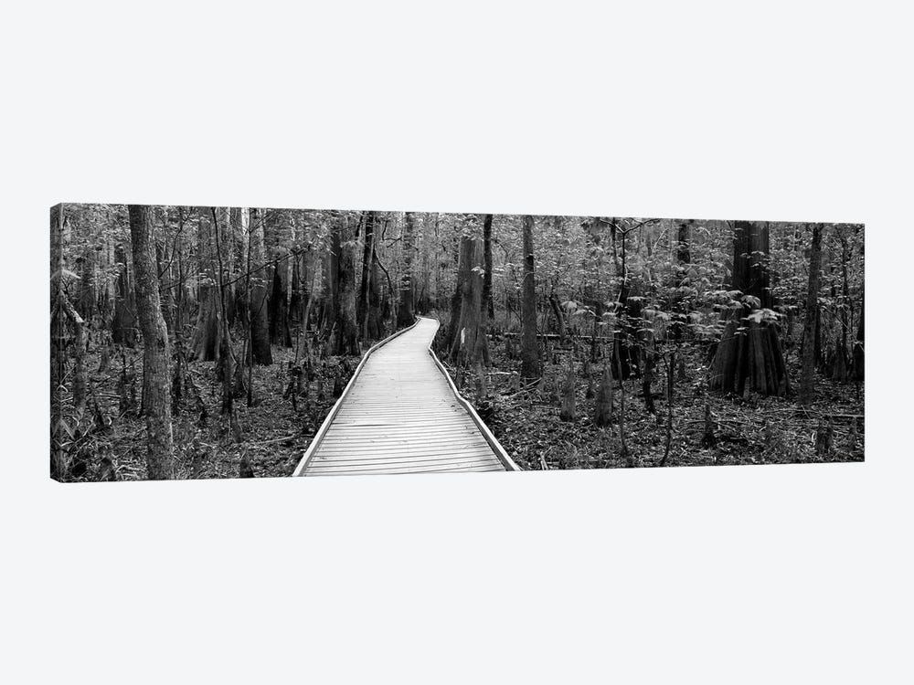 Boardwalk Passing Through A Forest, Congaree National Park, South Carolina, USA by Panoramic Images 1-piece Canvas Art