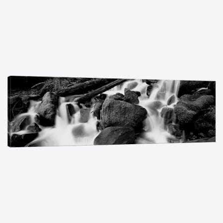 Cascading Waterfall In A Rainforest, Olympic National Park, Washington State, USA Canvas Print #PIM15107} by Panoramic Images Canvas Wall Art