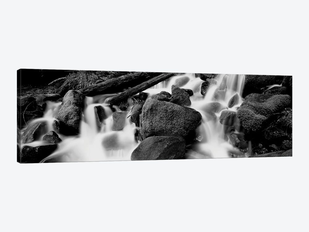 Cascading Waterfall In A Rainforest, Olympic National Park, Washington State, USA by Panoramic Images 1-piece Canvas Art