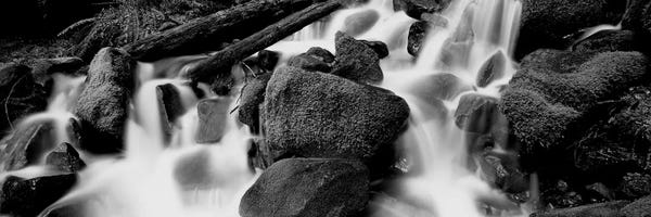 Olympic National Park: Cascading Waterfall In A Rainforest II, Olympic National Park, Washington State, USA by Panoramic Images