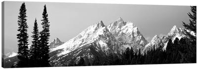 Cathedral Group Grand Teton National Park WY Canvas Art Print - Mountain Art