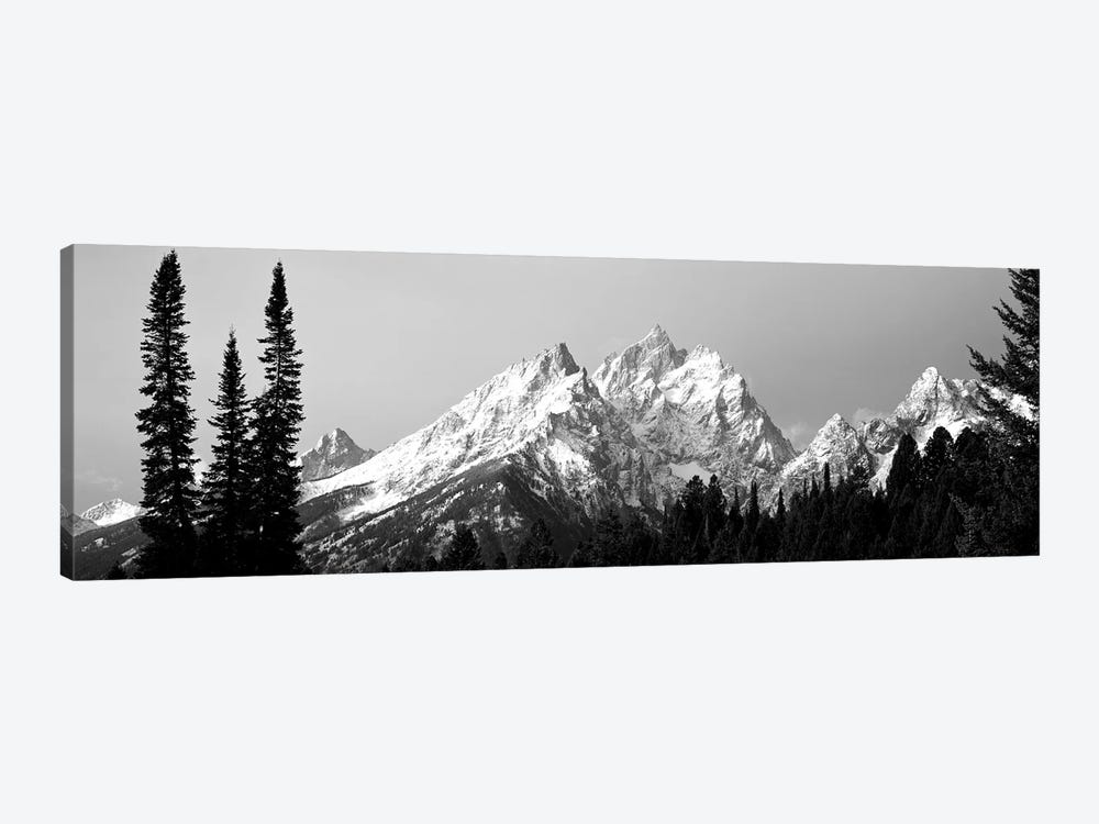 Cathedral Group Grand Teton National Park WY by Panoramic Images 1-piece Canvas Art Print