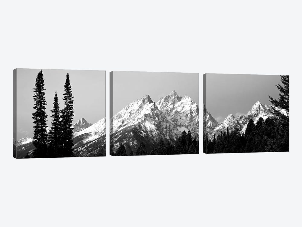 Cathedral Group Grand Teton National Park WY by Panoramic Images 3-piece Canvas Art Print