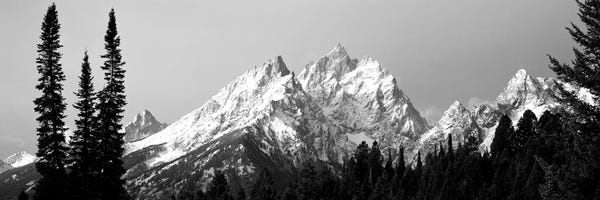 Rocky Mountains: Cathedral Group Grand Teton National Park WY by Panoramic Images