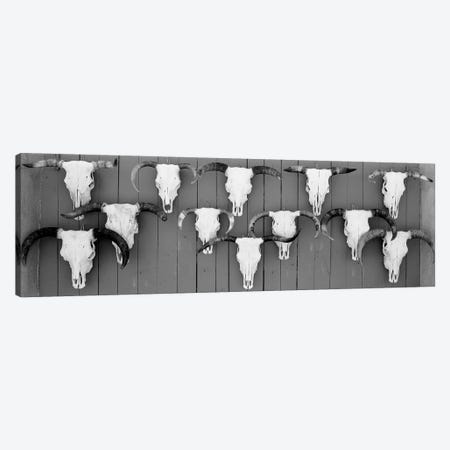 Cow Skulls Hanging On Planks, Taos, New Mexico, USA Canvas Print #PIM15119} by Panoramic Images Canvas Wall Art