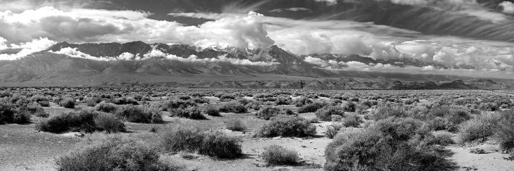 Death Valley Landscape, Panamint Range, Death Valley National Park, Inyo County, California, USA