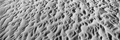 Detail Of Sand Dunes At Anza Borrego Desert State Park, California, USA by Panoramic Images canvas print