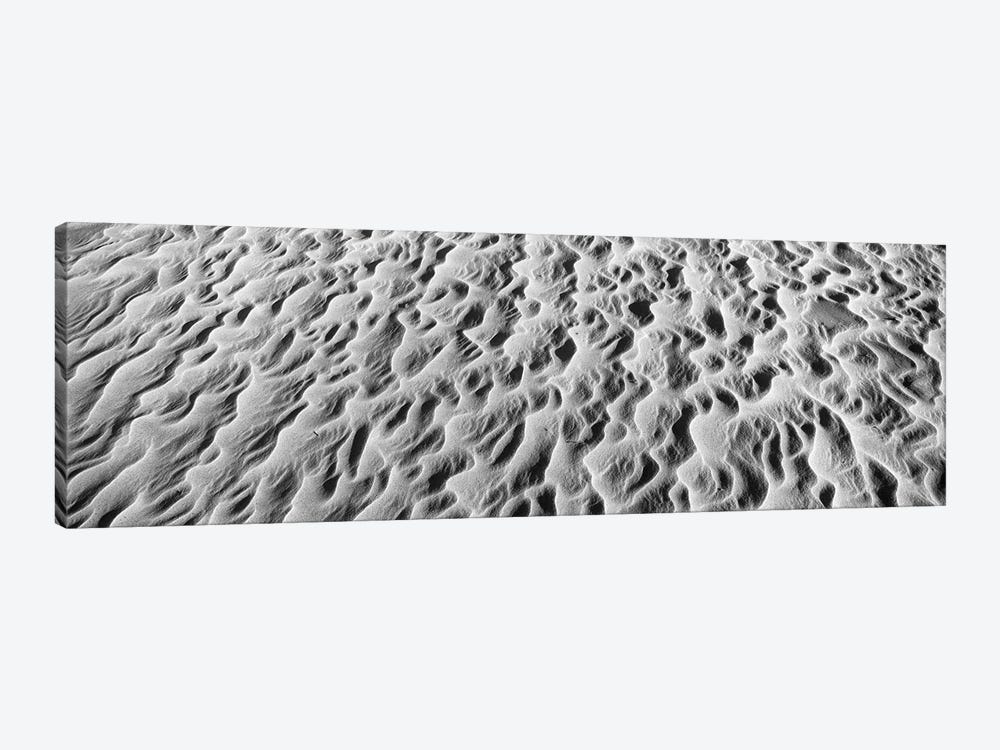 Detail Of Sand Dunes At Anza Borrego Desert State Park, California, USA by Panoramic Images 1-piece Art Print