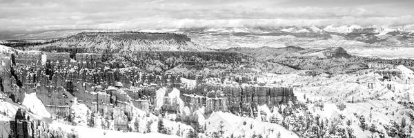 Bryce Canyon National Park: Eroded Rocks In A Canyon, Bryce Canyon, Bryce Canyon National Park, Utah, USA by Panoramic Images