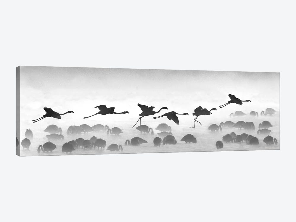 Flamingos Landing, Kenya by Panoramic Images 1-piece Canvas Artwork