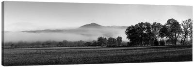 Fog Over Mountain, Cades Cove, Great Smoky Mountains National Park, Tennessee, USA Canvas Art Print - Black & White Photography