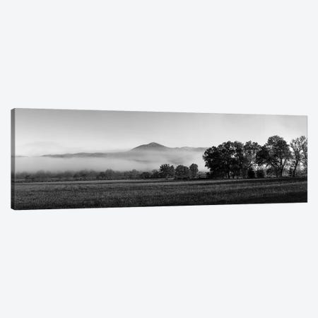 Fog Over Mountain, Cades Cove, Great Smoky Mountains National Park, Tennessee, USA Canvas Print #PIM15131} by Panoramic Images Canvas Art