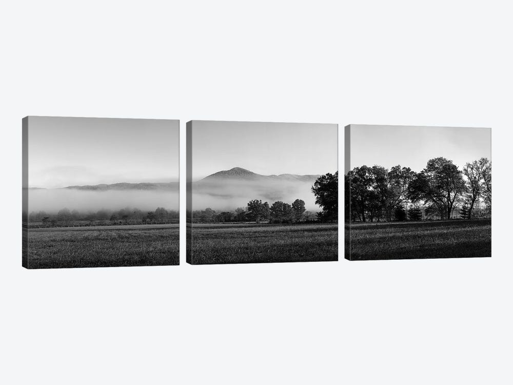 Fog Over Mountain, Cades Cove, Great Smoky Mountains National Park, Tennessee, USA by Panoramic Images 3-piece Canvas Art Print