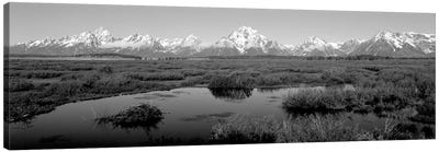 Grand Teton Park, Wyoming, USA I Canvas Art Print - Marsh & Swamp Art