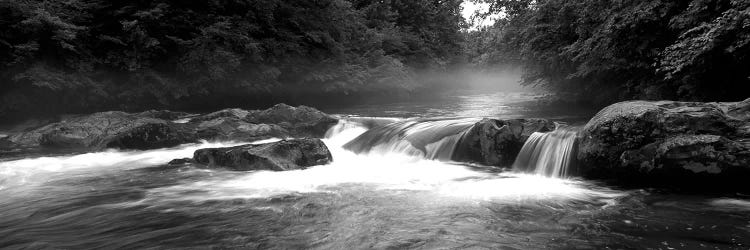 Great Smoky Mountains National Park, Little Pigeon River, River Flowing Through A Forest