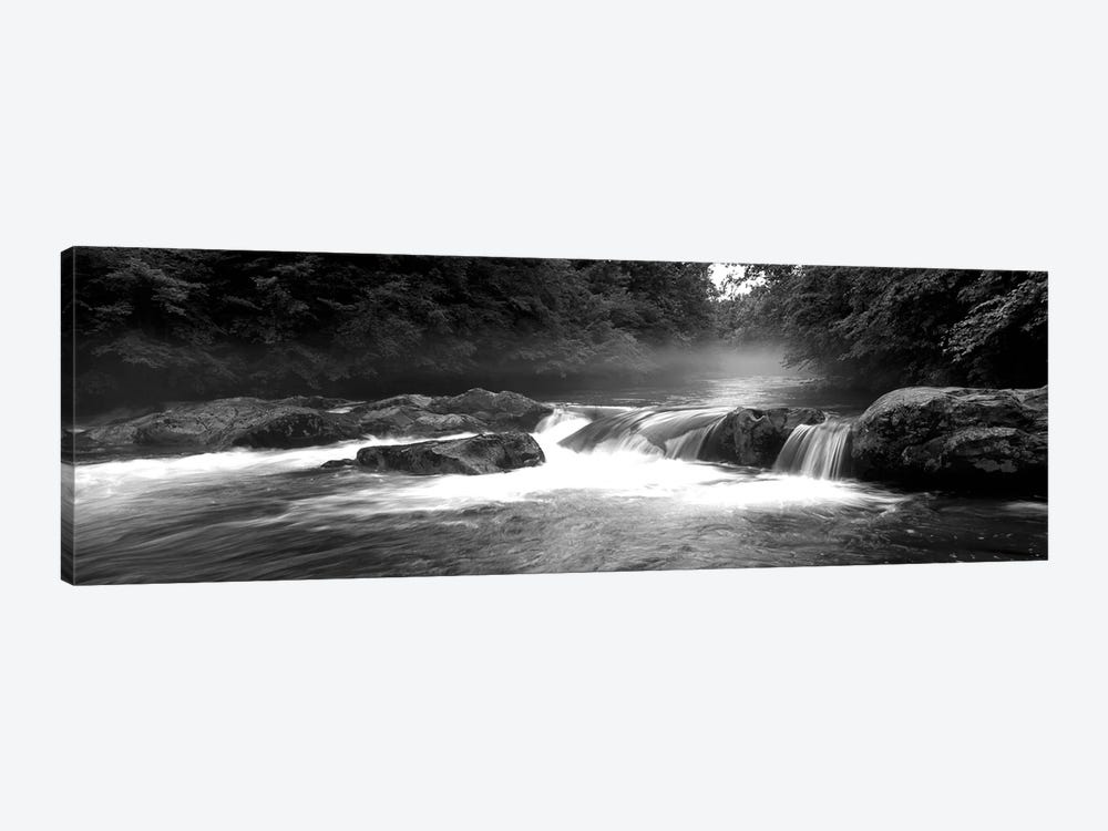 Great Smoky Mountains National Park, Little Pigeon River, River Flowing Through A Forest by Panoramic Images 1-piece Canvas Art Print