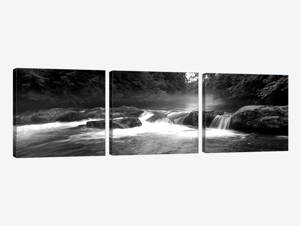 Great Smoky Mountains National Park, Little Pigeon River, River Flowing Through A Forest by Panoramic Images 3-piece Canvas Art Print