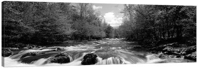 Little Pigeon River, Great Smoky Mountains National Park, Sevier County, Tennessee, USA Canvas Art Print - Great Smoky Mountains National Park