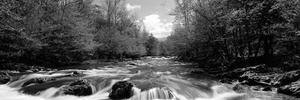 Photography: Little Pigeon River, Great Smoky Mountains National Park, Sevier County, Tennessee, USA by Panoramic Images
