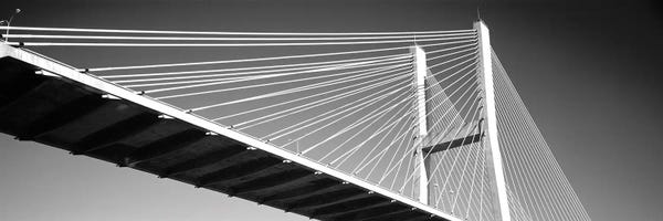 Georgia: Low-Angle View Of A Bridge, Talmadge Memorial Bridge, Savannah, Georgia, USA by Panoramic Images